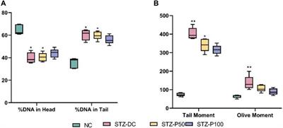 Propolis attenuates diabetes-induced testicular injury by protecting against DNA damage and suppressing cellular stress